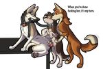  age_difference anatomically_correct balls blush border_collie canine dog domination feral german_shepherd group group_sex knot leash malamute mammal nomad_genesis pussy pussy_juice sex size_difference slave text threesome 