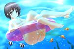  ass bikini bikini_aside blush cleft_of_venus fish floating from_below innertube kazumi_(syoki4230) ocean peeing pussy sea swimsuit toes uncensored underwater water 
