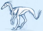  avian bird claws dinosaur feathers looking_at_viewer scalie sketch solo syntarsis 