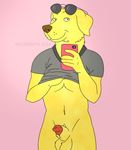  animal_genitalia balls bojack_horseman canine canine_penis dog golden_retriever incorgnito mammal mr._peanutbutter penis phone sheath solo 