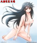  bad_id bad_pixiv_id black_hair breasts censored dated ginko_(silver_fox) haruna_(kantai_collection) kantai_collection kneeling large_breasts long_hair looking_at_viewer mosaic_censoring nipples nude pubic_hair pussy solo watermark web_address yellow_eyes 