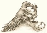  avian bird duo feathers female forced interspecies lizard male peacock rape rape_face reptile scalie sex sketch syntarsis 