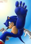  blue_hair foot_focus fur gloves green_eyes grin hair hindpaw male paws riproarrex sega socks soles solo sonic_(series) sonic_the_hedgehog sun teeth toes 