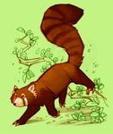  claws mammal puffy_tail red_panda running solo syntarsis tagme tree 