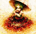  ascot bad_id bad_pixiv_id green_hair hazuki_shino kazami_yuuka parasol petals red_eyes solo touhou umbrella 