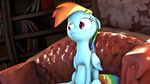  2014 3d cgi cute equine female feral friendship_is_magic horse mammal my_little_pony mynokiarules pegasus rainbow_dash_(mlp) source_filmmaker sugar_cube wings 