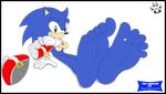  anthro barefoot blue_hair foot_fetish foot_focus gloves green_eyes hair hindpaw male nude paws pawsnfurs sega shoes smile soles solo sonic_(series) sonic_the_hedgehog toes 