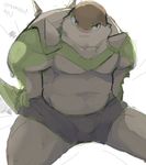  barazoku boxer_briefs chesnaught chubby clothing fur muscles nintendo pok&eacute;mon shameless shell underwear video_games 