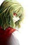  green_hair kazami_yuuka looking_at_viewer looking_back plaid plaid_vest red_eyes rion_(glayjirobass) short_hair touhou vest 