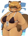  2014 akitaka bikini breasts brown_fur brown_hair chubby cleavage clothed clothing female fur hair hands_on_hips looking_at_viewer mammal open_mouth solo standing swimsuit tanuki thick_thighs 