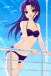  amane_satsuki bikini bird happinesscharge_precure! hikawa_iona long_hair md5_mismatch precure purple_eyes purple_hair seagull solo swimsuit 