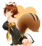  absurdres alternate_costume animal_ears antenna_hair ass bad_id bad_pixiv_id bare_shoulders blazblue breasts brown_hair detached_sleeves dress from_behind highres large_breasts makoto_nanaya red_eyes shama short_dress short_hair solo squirrel_ears squirrel_tail tail thighs uniform 