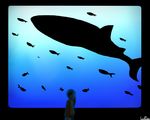  aquarium bangs brown_hair chie_(lcddem) commentary copyright_name dark fish hair_ornament lcddem looking_away midorikuzira short_hair shorts silhouette solo tears underwater whale 