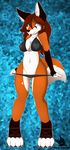  blue_eyes brown_hair canine drakeraynier female fluffy_tail fox fur hair mammal orange_fur smile solo swimsuit tongue white_fur 