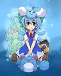  aoi_tobira blue_eyes blue_hair cirno crossover frozen gen_2_pokemon gen_3_pokemon marill pokemon pokemon_(creature) politoed short_hair snorunt swablu touhou 