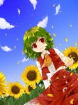  ascot bad_id bad_pixiv_id cloud day flower green_hair kazami_yuuka petals plaid plaid_skirt plaid_vest red_eyes short_hair skirt skirt_set sky smile solo sunflower touhou tsuguha vest wind 