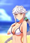  alternate_costume arm_at_side bare_shoulders beach bikini braid breasts cleavage collarbone day hair_ornament hand_on_own_chest hiromon kantai_collection large_breasts looking_at_viewer lowleg lowleg_bikini ocean pov sideboob silver_hair single_braid solo swimsuit unryuu_(kantai_collection) wavy_hair white_bikini yellow_eyes 