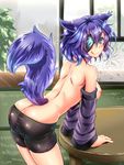  :q animal_ears bike_shorts blue_eyes blue_hair breasts detached_sleeves eburi_a eyepatch large_breasts looking_at_viewer nipples original solo tail tongue tongue_out topless 