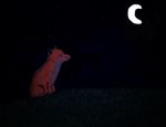 blue_eyes canine dark feral fox grass hill lonely mammal moon night solo stars 