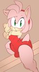  2014 amy_rose anthro big_butt blush breasts bulge butt clothing dickgirl erection fur green_eyes hair hedgehog intersex leotard looking_at_viewer mammal open_mouth penis pink_fur pink_hair sega solo sonic_(series) sonicboom53 thick_thighs video_games wide_hips 