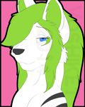  anthro blue_eyes canine fur green_hair hair long_hair looking_at_viewer male mammal smile solo tattoo taylor_voshiket topless voshiket white_fur wolf 