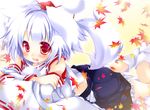  :d animal_ears detached_sleeves hat hikanyan inubashiri_momiji lying on_stomach open_mouth red_eyes short_hair smile solo tail tokin_hat touhou white_hair wolf_ears wolf_tail 