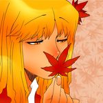  aki_shizuha blonde_hair leaf long_hair maple_leaf onikobe_rin smelling touhou yellow_eyes 