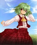  ascot bad_id bad_pixiv_id grass green_hair hirasaka_makoto_(style) kazami_yuuka maguroido parody plaid plaid_skirt plaid_vest red_eyes shirt short_hair skirt style_parody touhou vest 