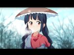 1girl ajirogasa black_hair braid breath capelet cato_(monocatienus) commentary_request dress earlobes grey_dress hat letterboxed looking_at_viewer outdoors red_eyes snow snowing solo touhou twin_braids upper_body yatadera_narumi 