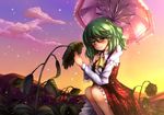  ascot flower green_hair holding holding_flower kazami_yuuka maru_daizu_(aqua6233) parasol plaid plaid_skirt plaid_vest red_eyes short_hair skirt skirt_set sky smile solo squatting sunflower sunset touhou umbrella vest 