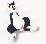  cat cum feline looney_tunes male mammal neenya penis smile solo sylvester warner_brothers 