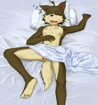  band-aid bed canine male mammal nude penis scar sceptile_(artist) sleeping solo uncut young 