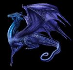  black_background blue_body blue_dragon ciruelo_cabral claws dragon edit eragon feral horn plain_background saphira scalie solo western_dragon wings 
