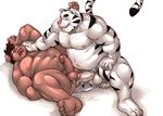 anal anal_penetration balls biceps chubby cum cum_on_floor duo erection feline gay humanoid_penis lying male mammal markwulfgar musclegut nude on_back penetration penis pig porcine sex tiger white_tiger yinhuo_(character) 