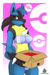  anthro box breasts camel_toe clothed clothing drakeraynier female lucario nintendo pok&eacute;ball pok&eacute;mon red_eyes solo swimsuit video_games 