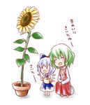  :d ^_^ bad_id bad_pixiv_id blue_dress blue_hair blush bow chibi cirno closed_eyes dress flower flower_pot green_hair happy kazami_yuuka kuromame_(8gou) large_bow multiple_girls necktie open_mouth plant potted_plant rock short_hair simple_background sitting skirt skirt_set smile sunflower touhou translated vest watering_can white_background wings |_| 