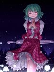  arms_behind_back ascot blush closed_eyes closed_umbrella fireflies flower green_hair highres kazami_yuuka lily_of_the_valley lzh night plaid plaid_skirt plaid_vest short_hair skirt skirt_set sky smile solo standing star_(sky) starry_sky touhou umbrella vest 