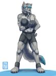  2014 abs anthro barefoot blue_hair bulge byowt canine claws clothed clothing collar crash_azarel dog_tags dumbbell ear_piercing fur grey_fur grey_hair hair looking_at_viewer male mammal muscles piercing shorts simple_background solo standing toe_claws topless two_tone_hair workout 
