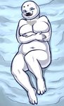  big_breasts blue_eyes breasts female fur kostos_art navel now nude seal solo white_fur 