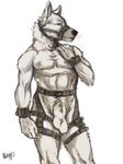  balls canine male mammal muscles muzzle_(object) muzzled nicolas0113 nipples nude sheath solo 