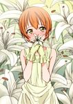  bare_shoulders blush brown_hair commentary_request covering covering_mouth dress eyebrows_visible_through_hair flower gloves green_eyes hands_together holding holding_flower hoshizora_rin kosuke_haruhito lily_(flower) looking_at_viewer love_live! love_live!_school_idol_project orange_hair short_hair solo standing white_flower yellow_dress yellow_gloves 