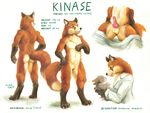  anthro canine erection female fox kinase labcoat lagomorph male mammal model_sheet penis rabbit red_fox scale_(artist) scientist sheath straight 