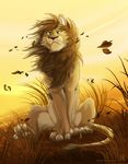  2014 avoid_posting conditional_dnp feline feral fur grass grumpy lion looking_at_viewer male mammal outside solo tani_da_real wind 