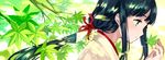  black_hair close-up green_eyes hair_ornament hair_ribbon japanese_clothes leaf long_hair low_ponytail miko original ribbon solo tan_(tangent) tree_branch 