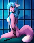  2014 anthro bed black_nose blue_eyes blue_hair breasts butt canine collar cute ears_back female fox fur hair hairclip leash leash_around_arm looking_at_viewer mammal nipples nude open_mouth pink_fur sitting takimi window wolflady 