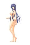  1girl areolae ass barefoot blue_eyes blush breasts collarbone feet female full_body gakuen_taima game_cg highres koizumi_amane large_breasts legs long_hair looking_at_viewer nipples nude purple_hair sideboob simple_background solo standing thighs toes transparent_background 