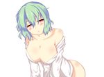  all_fours ass blouse breasts clothes_down green_hair jitome kazami_yuuka large_breasts leaning_forward looking_at_viewer mizuki-g off_shoulder parted_lips pov red_eyes shirt_down solo touhou white_blouse 