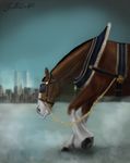  9/11 artisinmyheart_(artist) crying equine horse mammal remember sad twin_towers 