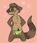  blush bulge clothing cute embarrassed looking_at_viewer male mammal raccoon shysketch solo underwear 