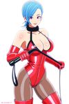  1girl aqua_hair bdsm blue_hair breasts elbow_gloves enkaboots gloves large_breasts leather leotard pantyhose red_eyes short_hair whip 